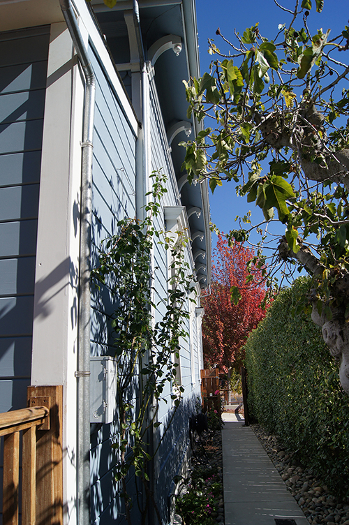 click to view larger image A narrow Victorian sideyard.